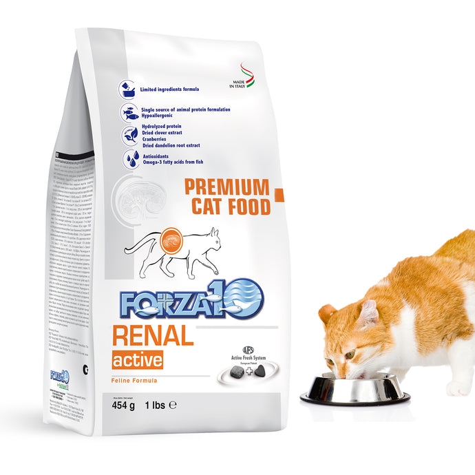 Forza10 Active Dry Cat Renal: A Nutritional Triumph for Feline Renal Health