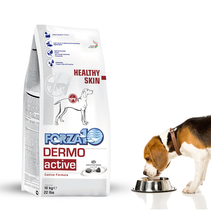Forza10 Active Dry Dog Dermo: Nourishing Skin Health from the Inside Out