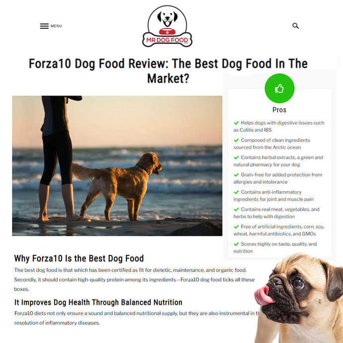"MR. DOG FOOD" WRITES ABOUT FORZA10 BEING THE BEST DOG FOOD