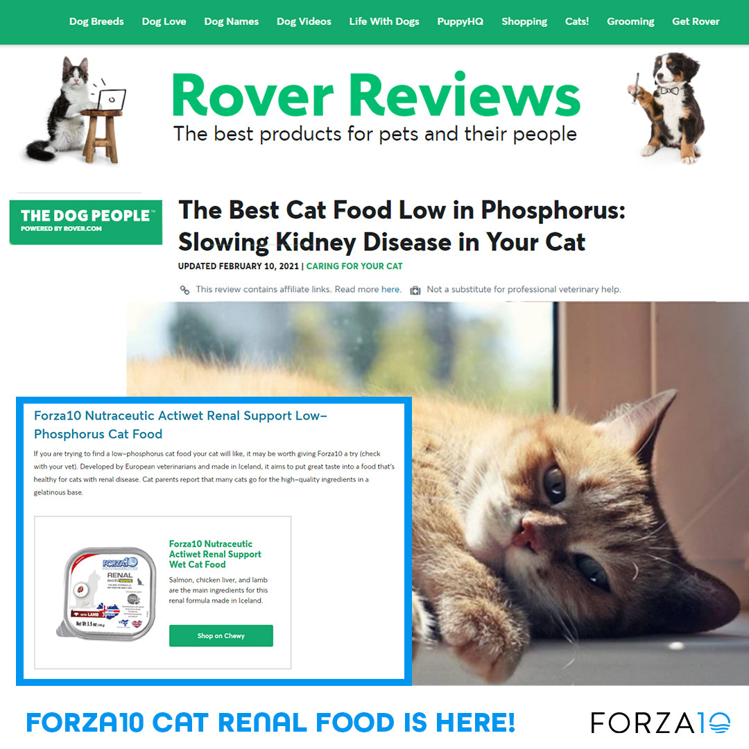 Rover Reviews lists Forza10 as one of the Best Cat Foods for Kidney Su