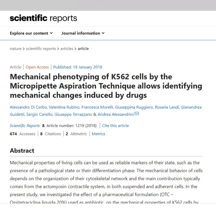 Identification of cellular morphological changes following treatment with oxytetracycline