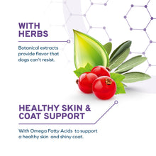 Load image into Gallery viewer, FORZA10 DAILYPRO SENSITIVE SKIN MEDIUM & LARGE BREED GRAIN-FREE WILD CAUGHT ANCHOVY