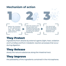 Load image into Gallery viewer, FORZA10 DAILYPRO SENSITIVE DIGESTION SMALL BREED GRAIN-FREE