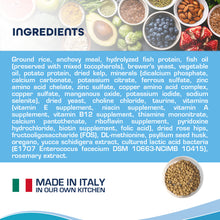 Load image into Gallery viewer, Forza10 Nutraceutic Active Intestinal Support Diet Dry Cat Food