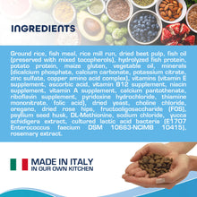 Load image into Gallery viewer, Forza10 Nutraceutic Active Intestinal Support Diet Dry Dog Food