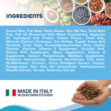 Load image into Gallery viewer, Forza10 Nutraceutic Active Depura Fish Diet Dry Dog Food