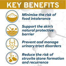 Load image into Gallery viewer, Forza10 Nutraceutic Actiwet Urinary Support Icelandic Fish Recipe Wet Cat Food