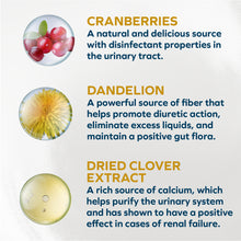 Load image into Gallery viewer, Forza10 Nutraceutic Actiwet Urinary Support Icelandic Fish Recipe Wet Cat Food