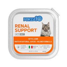 Load image into Gallery viewer, Forza10 Nutraceutic Actiwet Renal Support Wet Cat Food