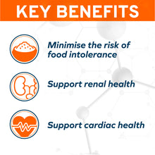Load image into Gallery viewer, Forza10 Nutraceutic Actiwet Renal Support Wet Cat Food
