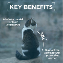 Load image into Gallery viewer, Forza10 Nutraceutic Actiwet Hypo Fish Canned Cat Food