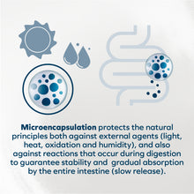 Load image into Gallery viewer, Forza10 Nutraceutic Actiwet Hypo Lamb Canned Cat Food