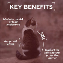 Load image into Gallery viewer, Forza10 Nutraceutic ActiWet Dermo Support Fish Recipe Canned Cat Food