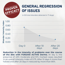 Load image into Gallery viewer, Forza10 Nutraceutic Active Dermo Support Dog Food