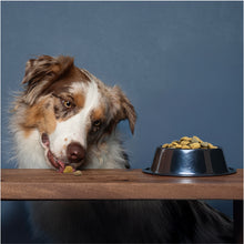 Load image into Gallery viewer, Forza10 Nutraceutic Active Dermo Support Dog Food