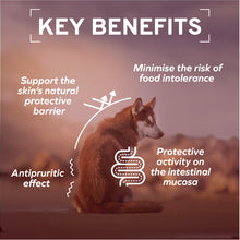 Load image into Gallery viewer, Forza10 Nutraceutic Active Dermo Support Dog Food