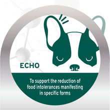 Load image into Gallery viewer, Forza10 Nutraceutic Active Echo Support Diet Dry Dog Food