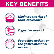 Load image into Gallery viewer, Forza10 Nutraceutic Actiwet Digestive Support Fish Recipe Canned Dog Food