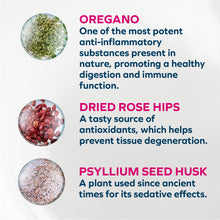 Load image into Gallery viewer, Forza10 Nutraceutic Actiwet Digestive Support Fish Recipe Canned Dog Food