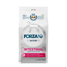 Load image into Gallery viewer, Forza10 Nutraceutic Active Intestinal Support Dry Dog Food