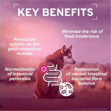 Load image into Gallery viewer, Forza10 Nutraceutic Active Intestinal Support Dry Dog Food