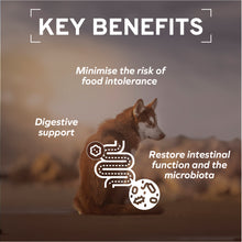 Load image into Gallery viewer, Forza10 Nutraceutic Active Colon Diet Phase 1 Dry Dog