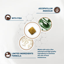 Load image into Gallery viewer, Forza10 Nutraceutic Active Colon Diet Phase 1 Dry Dog