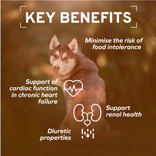 Load image into Gallery viewer, Forza10 Nutraceutic Active Kidney Renal Support Dry Dog Food