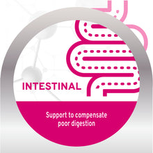 Load image into Gallery viewer, Forza10 Nutraceutic Active Intestinal Diet Dry Cat Food