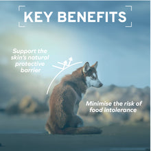 Load image into Gallery viewer, Forza10 Nutraceutic Actiwet Hypo Fish Recipe Canned Dog Food