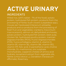 Load image into Gallery viewer, FORZA10 Nutraceutic Active Urinary Dry Dog Food