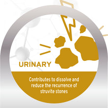 Load image into Gallery viewer, FORZA10 Nutraceutic Active Urinary Dry Dog Food