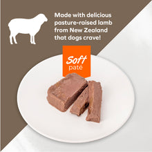 Load image into Gallery viewer, Forza10 Nutraceutic Actiwet Renal Support Wet Dog Food