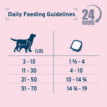 Load image into Gallery viewer, Forza10 DailyPro Pork Wet Dog Food – Vet Formulated Daily Maintenance, Non-GMO, Made in Italy, 3.5 oz