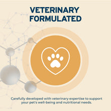Load image into Gallery viewer, Forza10 DailyPro Chicken Wet Dog Food – Vet Formulated Daily Maintenance, Non-GMO, Made in Italy, 3.5 oz