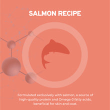 Load image into Gallery viewer, Forza10 DailyPro Salmon Wet Dog Food – Vet Formulated Daily Maintenance, Non-GMO, Made in Italy, 3.5 oz
