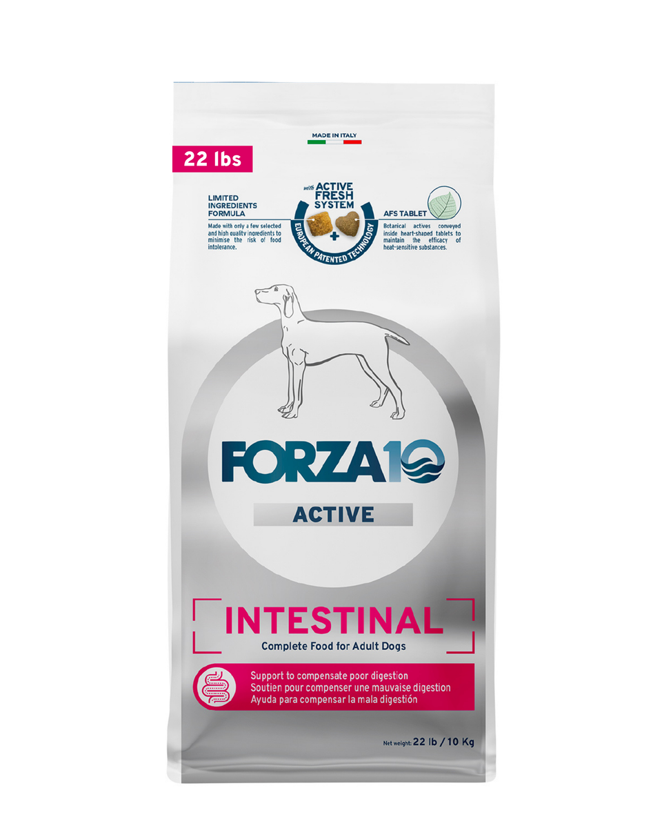 FORZA10 アクティブ INTESTINAL 腸 ドライフード　4kg×2袋 Intestinal Dry Dog Food for Sensitive Stomachs & Digestive Support