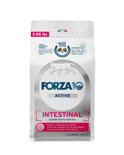 Load image into Gallery viewer, Intestinal Dry Cat Food for Sensitive Stomachs & Digestive Support, Fish Flavor