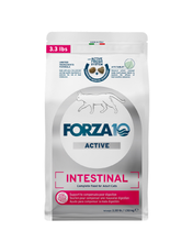 Load image into Gallery viewer, Intestinal Dry Cat Food for Sensitive Stomachs & Digestive Support, Fish Flavor