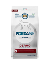 Load image into Gallery viewer, Dermo Dry Dog Food for Itchy Skin & Coat Health, Fish Flavor