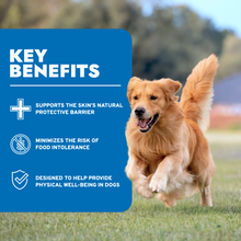 Load image into Gallery viewer, Hypo Wet Dog Food for Allergies, Skin & Coat Support, Lamb Flavor