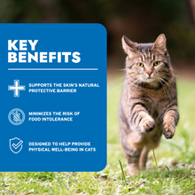 Load image into Gallery viewer, Hypo Wet Cat Food for Allergies, Skin & Coat Support, Lamb Flavor