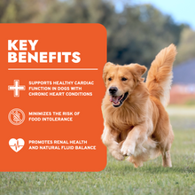 Load image into Gallery viewer, Renal Wet Dog Food for Kidney Support, Lamb Flavor