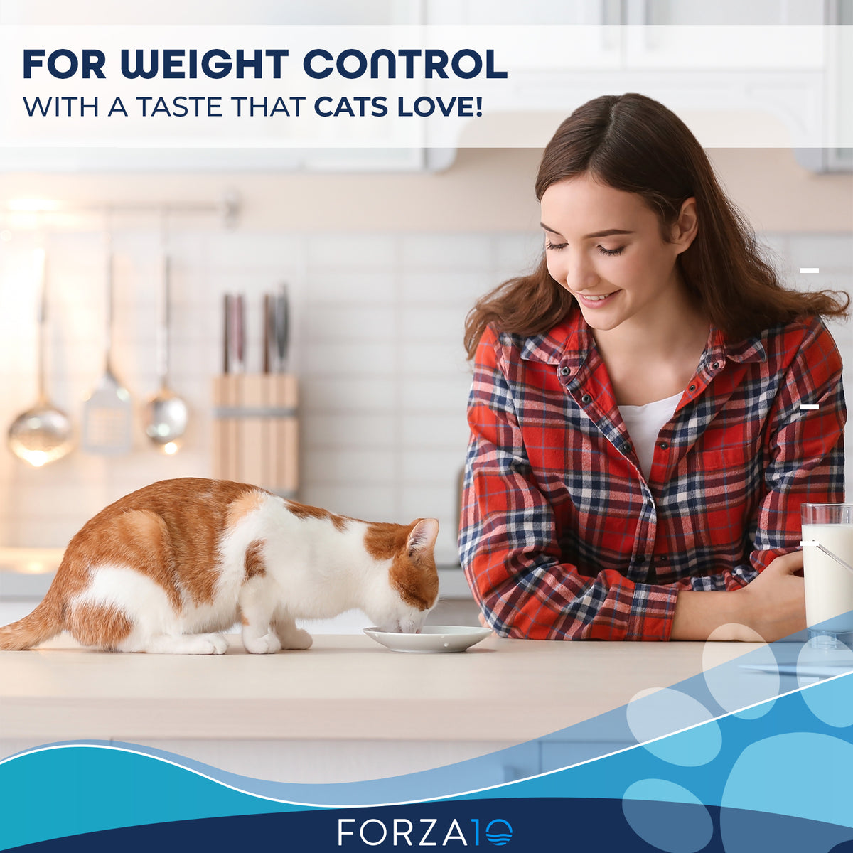 Weight control outlet food for cats