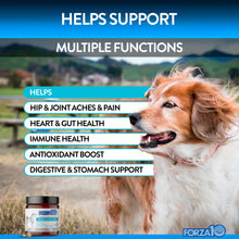 Load image into Gallery viewer, Forza10 Multifunction Supplement Soft Chews
