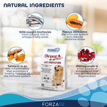 Load image into Gallery viewer, Forza10 Nutraceutic Active Depura Fish Diet Dry Dog Food