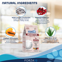 Load image into Gallery viewer, Forza10 Nutraceutic Sensitive Skin Plus Grain-Free Dry Dog Food
