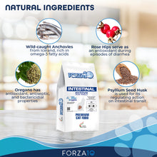Load image into Gallery viewer, Forza10 Nutraceutic Active Intestinal Support Diet Dry Cat Food