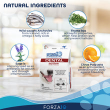 Load image into Gallery viewer, Forza10 Nutraceutic Active Line Oral Support Diet Dry Dog Food