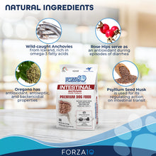 Load image into Gallery viewer, Forza10 Nutraceutic Active Intestinal Support Diet Dry Dog Food